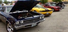 Muscle Cars