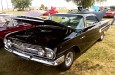 Impala