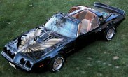 1979 Trans Am