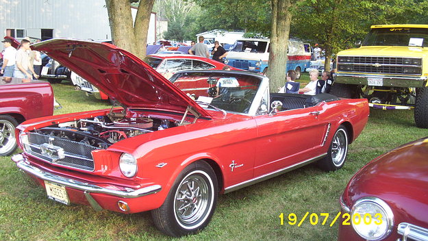 Mustang