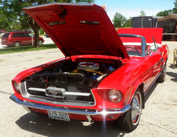 Mustang