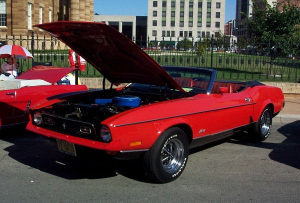 Mustang