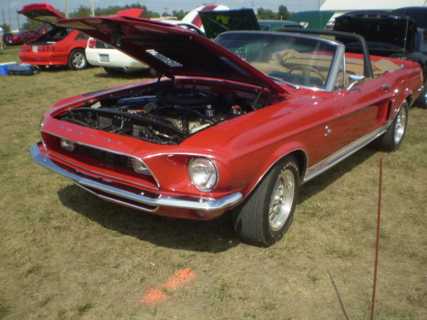 Mustang Shelby GT500