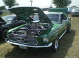 Mustang