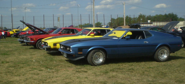 Mustangs