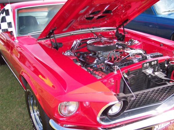 Mustang