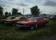 Mustangs