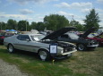 Mustangs