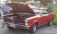 65 GTO