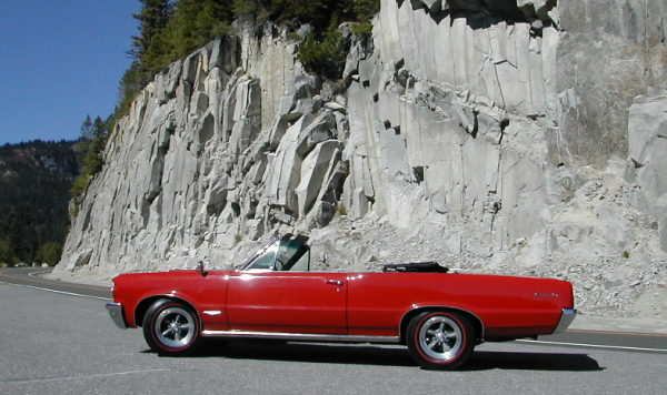 Tom's 64 GTO Convertible