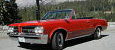 Tom's 64 GTO Convertible