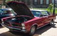 65 GTO