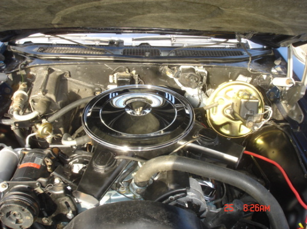 Mike's 70 GTO Convertible