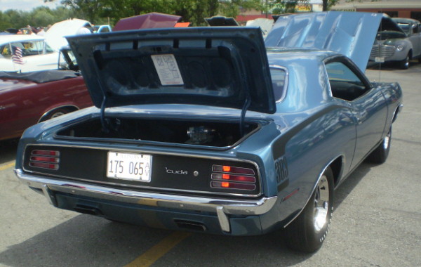 Barracuda