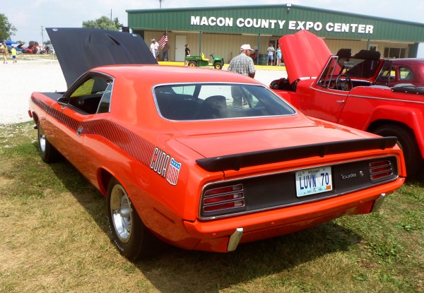 Barracuda