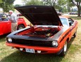 Barracuda
