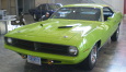 Barracuda
