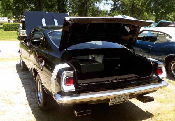 Barracuda