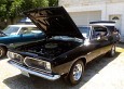 Barracuda