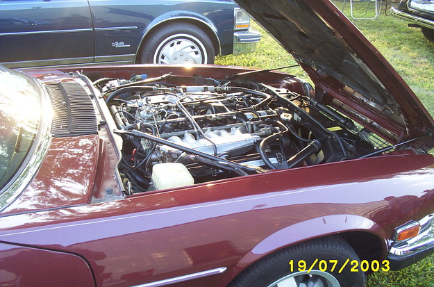 Jaguar